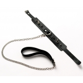 Черный ошейник с шипами и поводком - Crazy Handmade - купить с доставкой в Казани