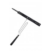 Кожаный двухслойный ошейник с белой строчкой и поводком - Pecado - купить с доставкой в Казани