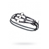 Черный кожаный пояс с кольцами - Pecado - купить с доставкой в Казани