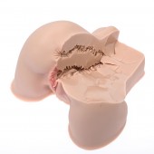 Мастурбатор-полуторс Naked Factory Kate - Naked Factory - в Казани купить с доставкой