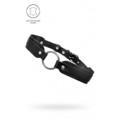 Черный кожаный чокер-ошейник со скруглёнными углами - Pecado - купить с доставкой в Казани