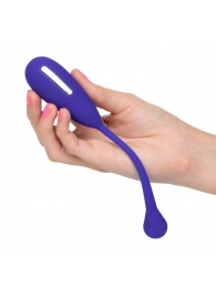 Фиолетовый шарик с электростимуляцией и вибрацией Intimate E-Stimulator Remote Kegel Exerciser - California Exotic Novelties - купить с доставкой в Казани