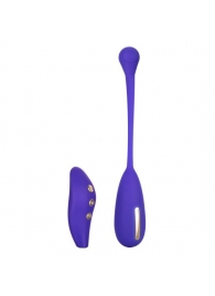 Фиолетовый шарик с электростимуляцией и вибрацией Intimate E-Stimulator Remote Kegel Exerciser - California Exotic Novelties - купить с доставкой в Казани