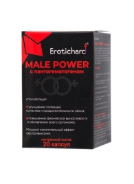 Капсулы для мужчин Erotichard male power с пантогематогеном - 20 капсул (0,370 гр.) - Erotic Hard - купить с доставкой в Казани