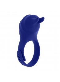 Синее эрекционное виброкольцо с клиторальной подушечкой и пультом ДУ Adjustable Fun Ring - Zero Tolerance - в Казани купить с доставкой