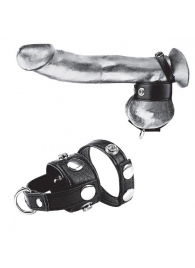 Утяжка для мошонки и пениса Cock Ring With 1  Ball Stretcher And Optional Weight Ring - BlueLine - купить с доставкой в Казани