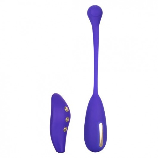 Фиолетовый шарик с электростимуляцией и вибрацией Intimate E-Stimulator Remote Kegel Exerciser - California Exotic Novelties - купить с доставкой в Казани