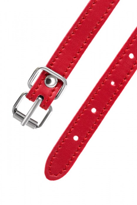 Красная маска Anonymo из искусственной кожи - ToyFa - купить с доставкой в Казани