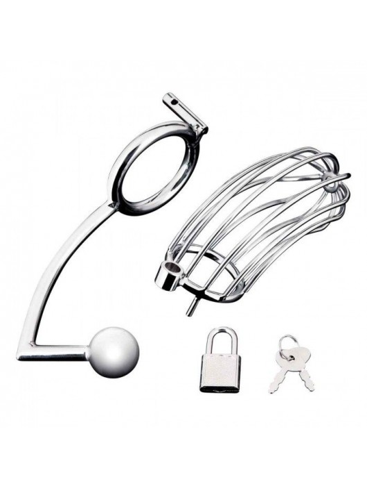 Серебристая металлическая клетка с анальным стимулятором Cock Cage - BlueLine - купить с доставкой в Казани