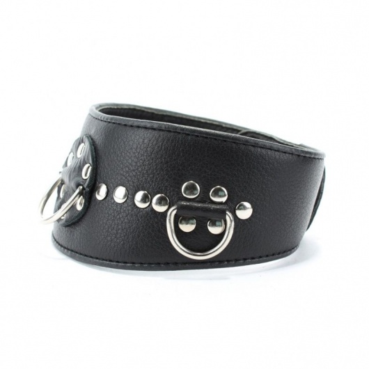 Чёрный кожаный ошейник с полукольцами и клёпками - БДСМ Арсенал - купить с доставкой в Казани