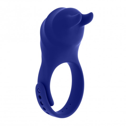 Синее эрекционное виброкольцо с клиторальной подушечкой и пультом ДУ Adjustable Fun Ring - Zero Tolerance - в Казани купить с доставкой