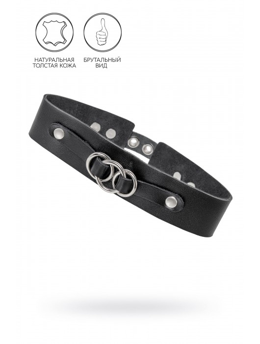 Черный чокер-ошейник со связанными кольцами на подложке - Pecado - купить с доставкой в Казани