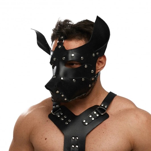 Черная кожаная маска «Собака» - Crazy Handmade - купить с доставкой в Казани