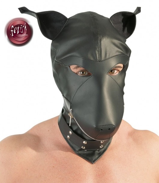 Шлем-маска Dog Mask в виде морды собаки - Orion - купить с доставкой в Казани