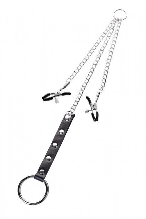 Серебристо-чёрные зажимы для сосков с кольцом для пениса TOYFA Metal - ToyFa - купить с доставкой в Казани