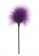 Эротический набор FANTASTIC PURPLE SEX TOY KIT - Toy Joy - купить с доставкой в Казани